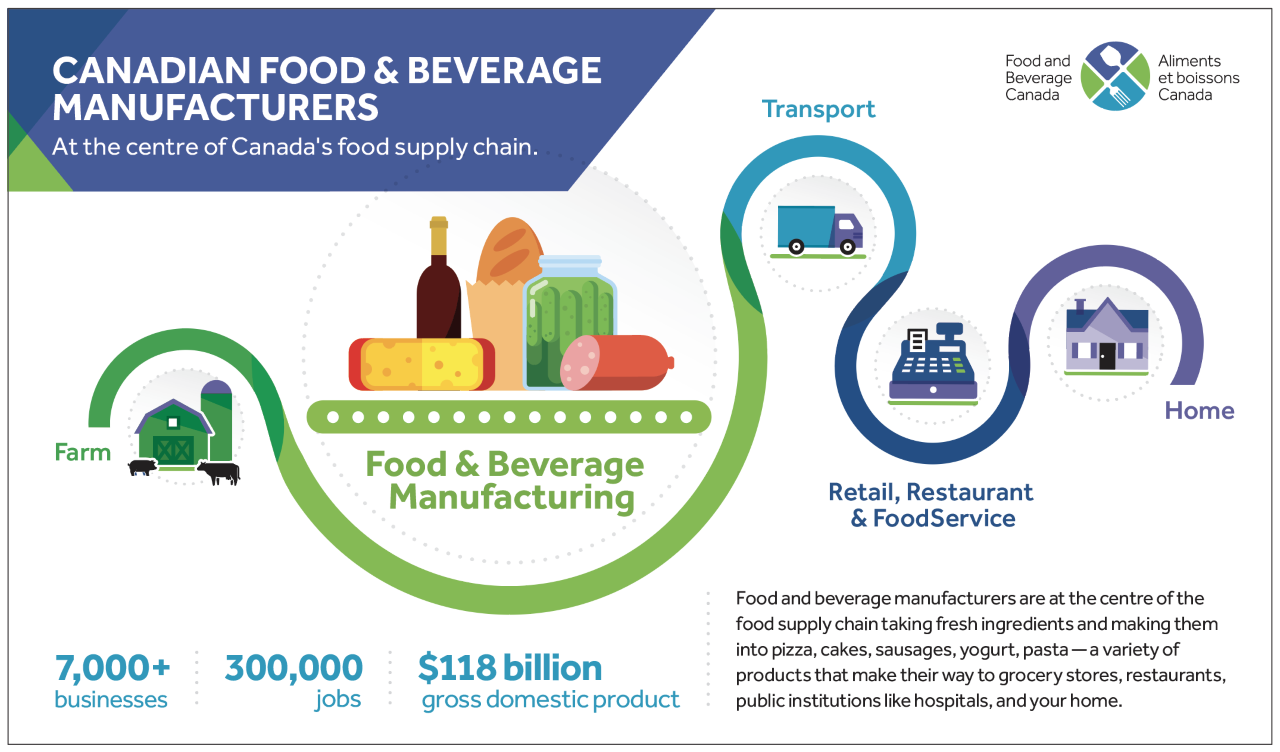 Supply Chain Infographic