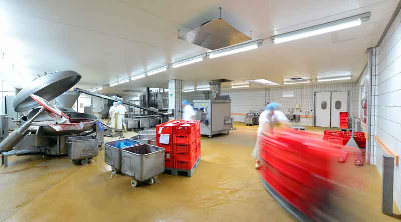 sanitation workers in a food processing plant